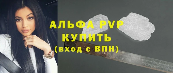 мдпв Богданович